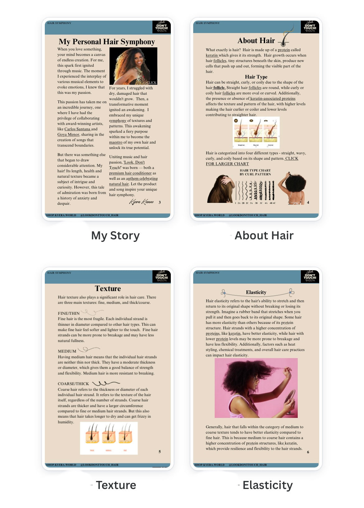 Hair Symphony - The Step-By-Step Guide to Mastering Your Hair Type  (Kindle/Amazon E-Book)